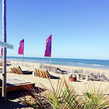 Ferienhaus Sea Lodges - Kennemer 6 - No Dog Allowed Zandvoort
