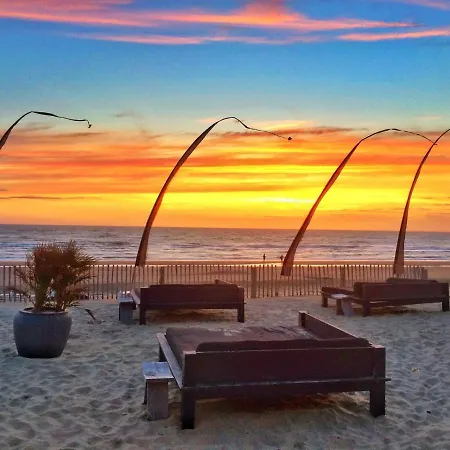 Sea Lodges - Kennemer 6 - No Dog Allowed